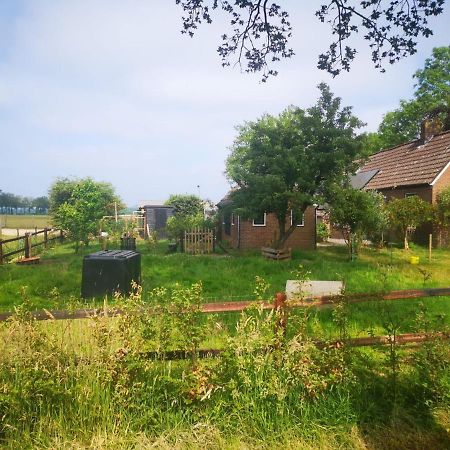 Trekkershut - Tiny House - Hikers Cottage Wijster Eksteriør bilde