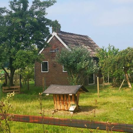 Trekkershut - Tiny House - Hikers Cottage Wijster Eksteriør bilde