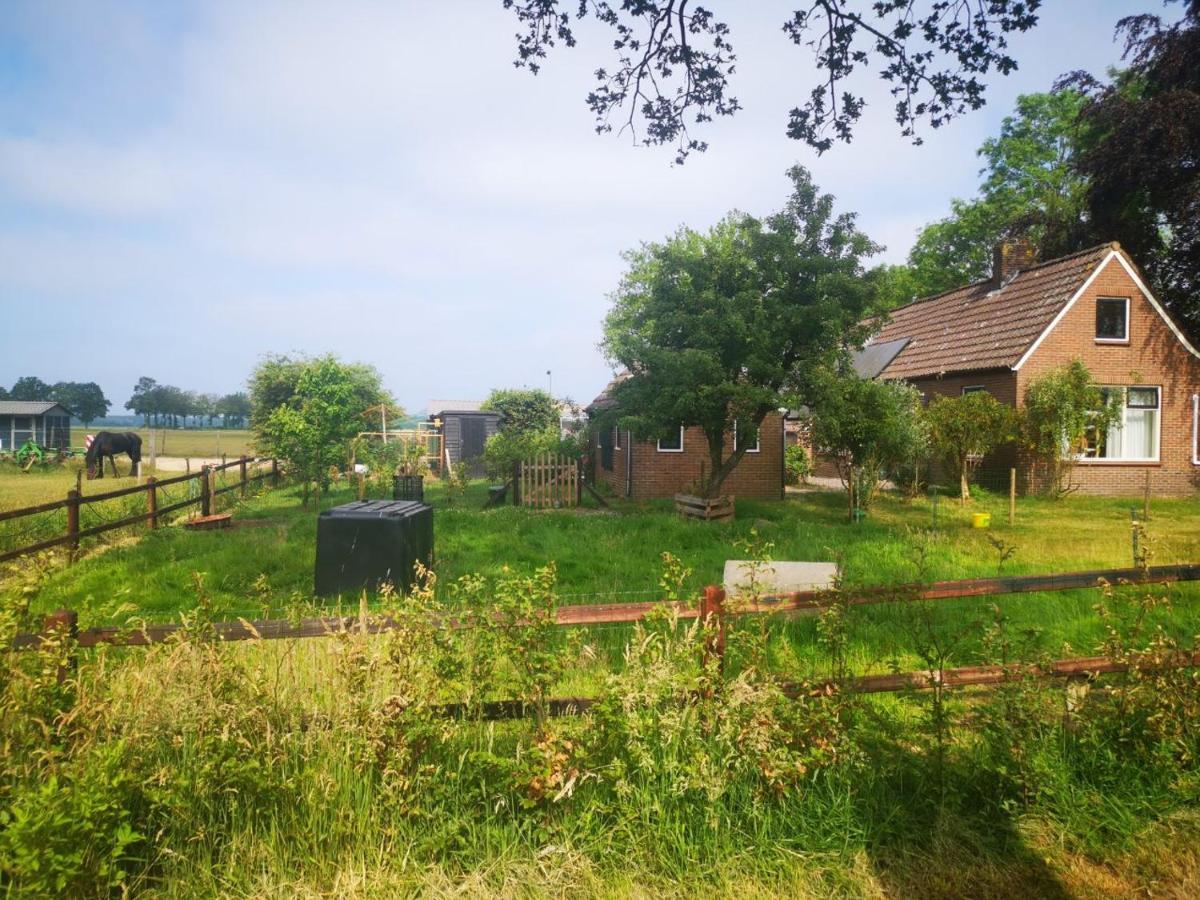 Trekkershut - Tiny House - Hikers Cottage Wijster Eksteriør bilde
