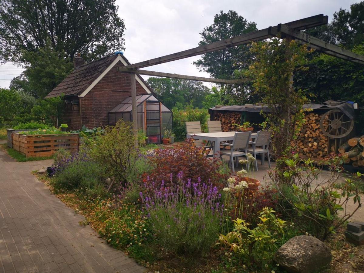 Trekkershut - Tiny House - Hikers Cottage Wijster Eksteriør bilde