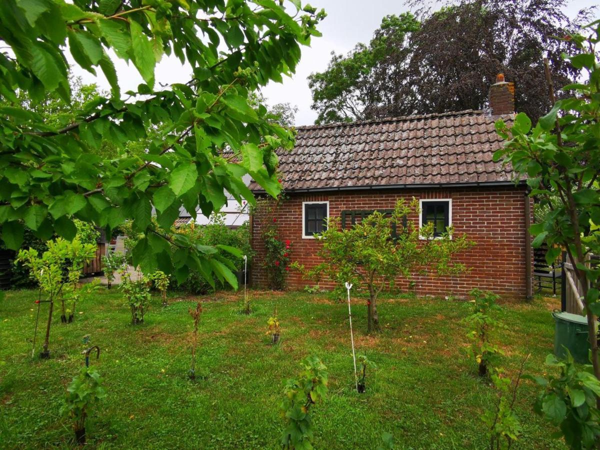 Trekkershut - Tiny House - Hikers Cottage Wijster Eksteriør bilde