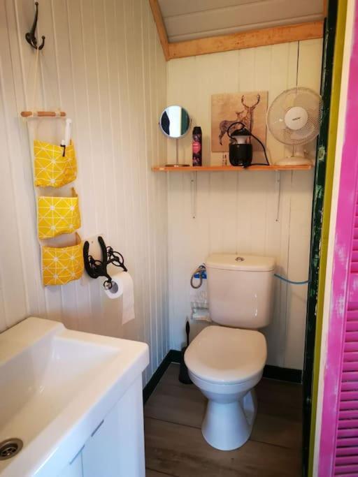 Trekkershut - Tiny House - Hikers Cottage Wijster Eksteriør bilde