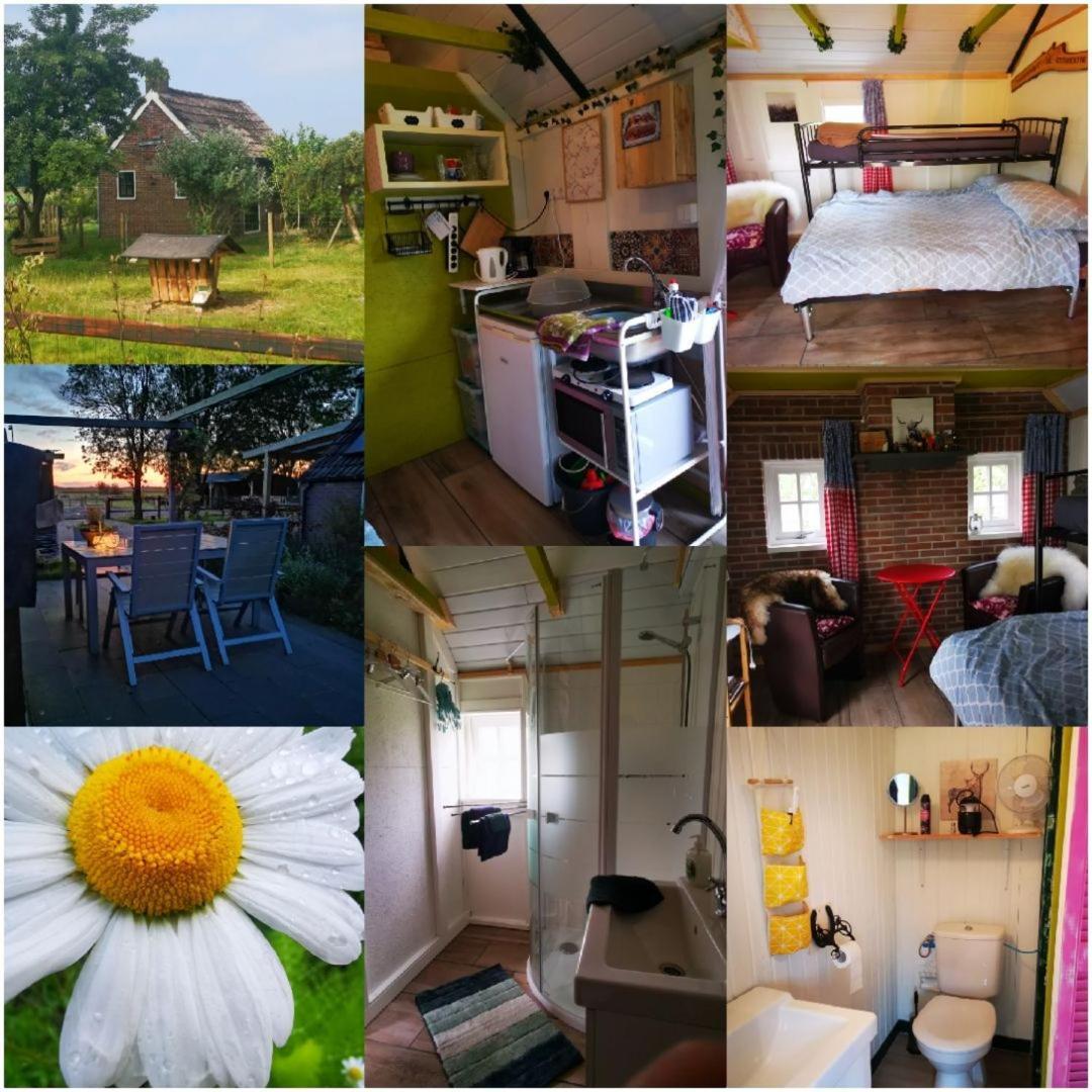 Trekkershut - Tiny House - Hikers Cottage Wijster Eksteriør bilde